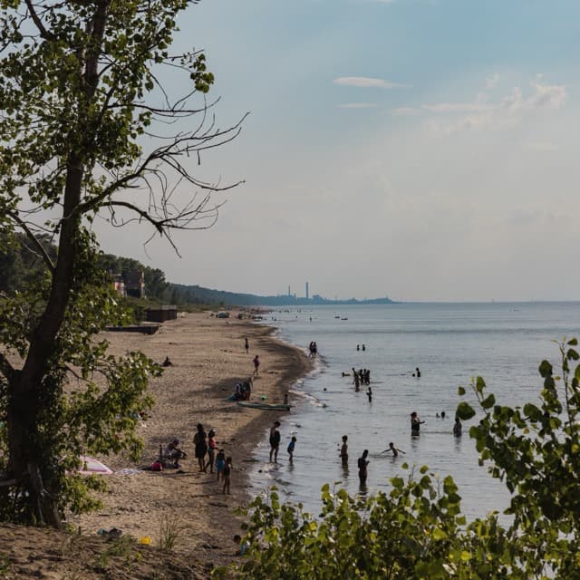 People on a lakeshore